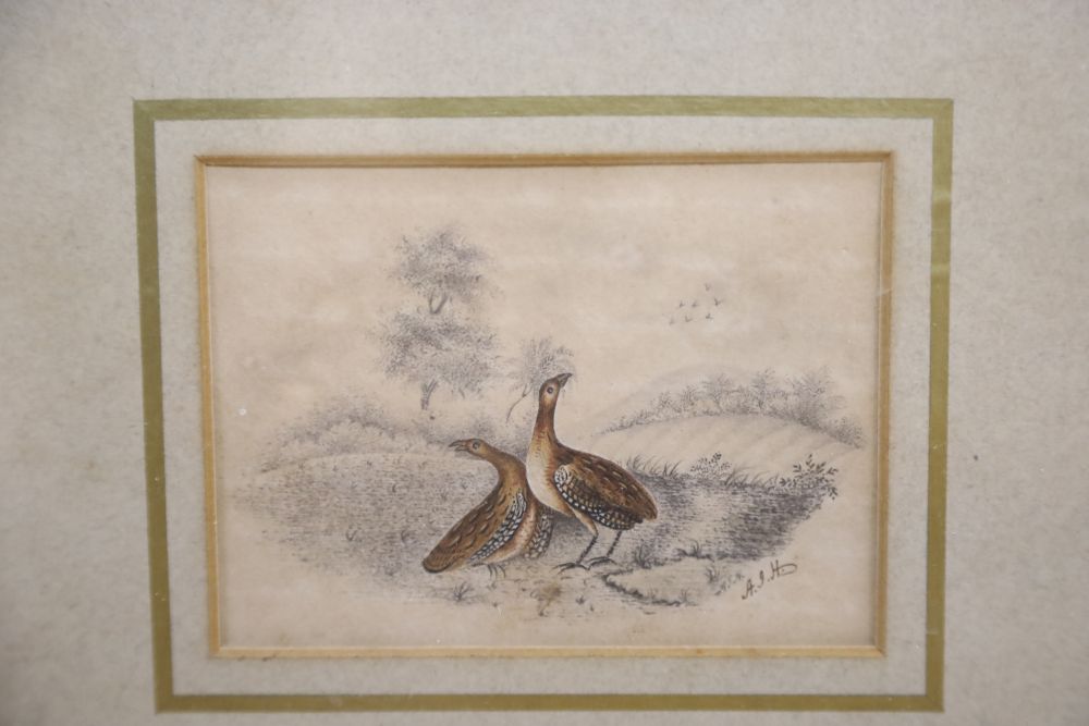 Attributed to Edward Price (1800-1885), pencil drawing, Abbey Ruins, 18 x 15cm, a Victorian watercolour of Convolvulus flowers and two